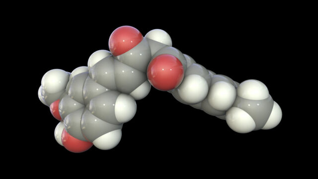 3D space-filling molecular model of a peptide structure with gray carbon, white hydrogen, and red oxygen atoms on black backg